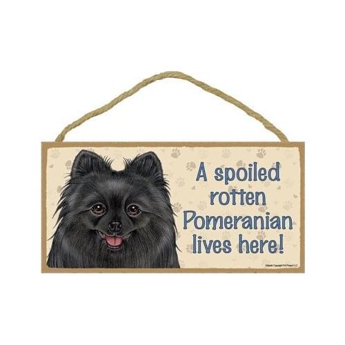 Meijiafei A spoiled rotten Pomeranian (Black) lives here wood sign plaque 5" x 10"