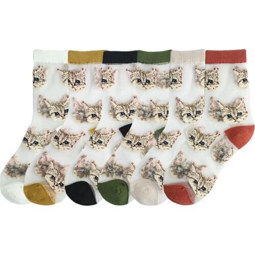 1 Pair of Lovely Cat Womens Glass Stockings Summer Womens Transparent, Comfortable, Breathable and Antiskid Womens Stockings
