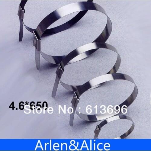 100pcs 4.6mmx650mm STAINLESS STEEL ZIP CABLE TIES LOCK TIE WRAP