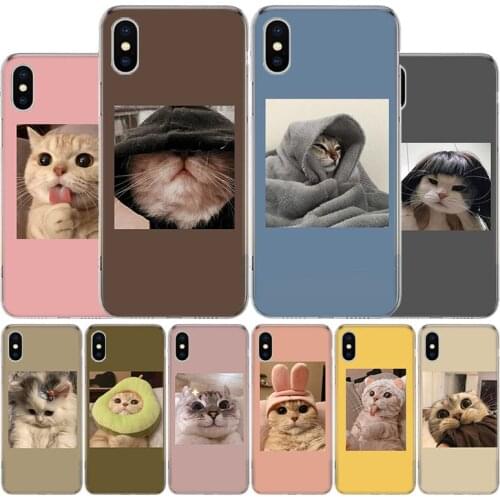 Hot Funny Super Cute Cat Lovely Cover Phone Case For Apple iphone 11 12 Pro XR X XS Max 7 8 6 6S Plus + 7G 6G 5 SE 2020 Coque Po