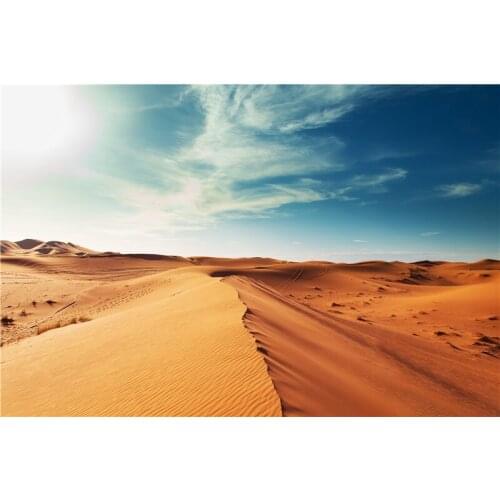 ZHISUXI Vinyl Custom Photography Backdrops Prop Desert Theme Photography Background D20303-03