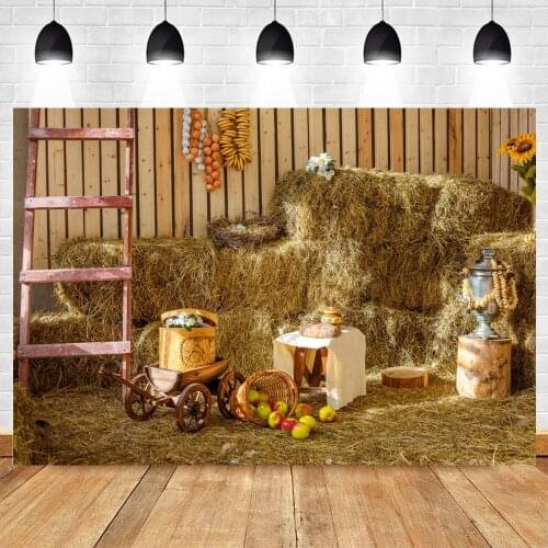 Autumn Farm Barn Hay Bales Baby Portrait Photo Background Photography Backdrop Vinyl Photographic Photocall Photophone Photozone