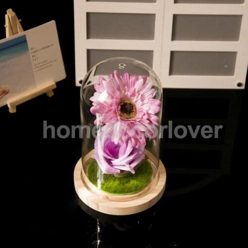 Decorative Glass Cover Flower Vase Micro Landscape DIY Holder Terrarium Container