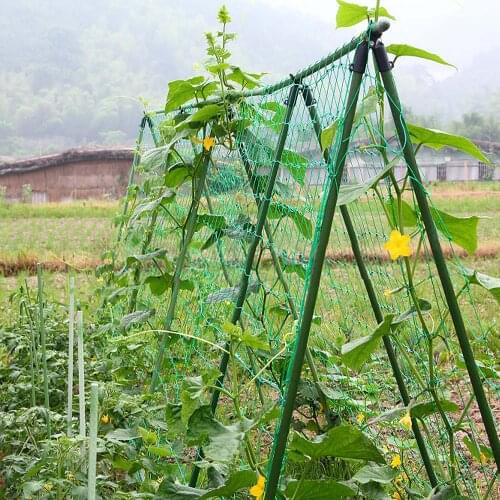 Garden Green Nylon Vegetables Fruits Nylon Trellis Netting Support Net for Climbing Vine Plants Grow Fence Anti-bird Net