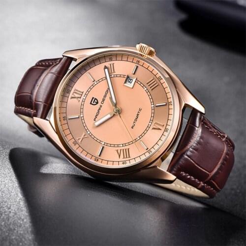 PAGANI DESIGN Military Sports Brand Luxury Mechanical Self-Winding Watch Men Accessories Leather Waterproof Relogio Masculino