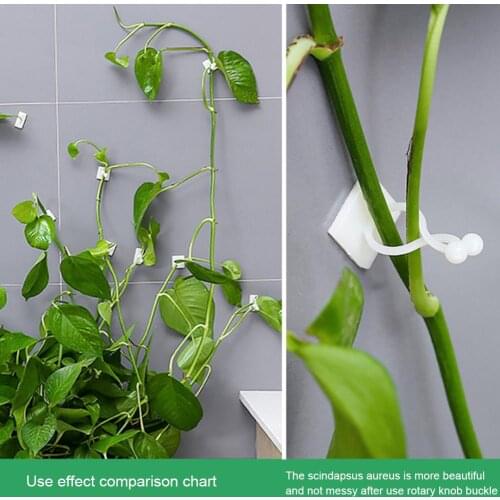 100PCS Garden Vegetable Plant Support Binding Clip Vine Plant Climbing Wall Fixer Non-marking Self-adhesive Hook Organize Vine