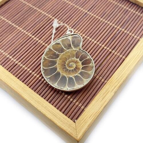 Natural Conch Shell Pendant Brown Snail Shape Edging Fashion Necklace Marine Sacred Animal Shell Pendant Lucky Bracelet Jewelry