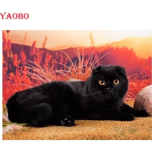 Diamond Painting Black Cat 5D Diy Full Square/Round Diamond Embroidery Rhinestones Pictures Mosaic Handwork Home Decor