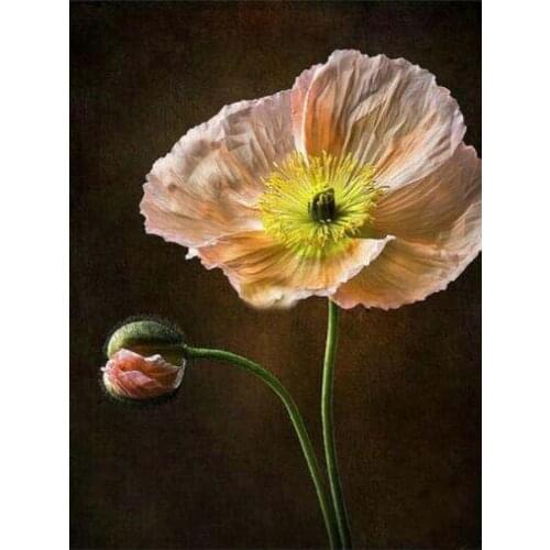 TOUOILP square full Diamond Painting full Bloemen 43