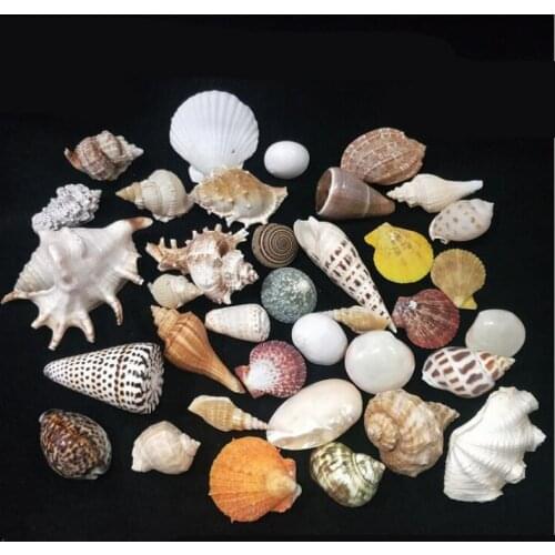 Candles Ocean Shells Jelly Wax Candle Sea Natural Shell Conch Wedding Decoration Candle DIY Valentines Christmas Supplies