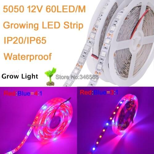 5m 12V LED Phyto Lamps Full Spectrum LED Strip Light 300LEDs 5050 Chip LED Fitolampy Grow Lights For Greenhouse Hydroponic plant