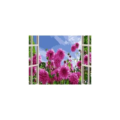 MaHuaf-W444 red chrysanthemum