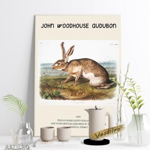 John Woodhouse Audubon Wildlife Painter Poster Texian Hare Wall Picture North America Viviparous Quadrupeds Illustration Decor