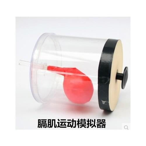 Diaphragm motion simulator Manual type teaching equipment free shipping