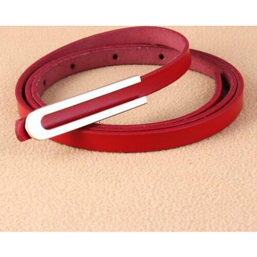 New Metal Type U Buckle Belt Pinkycolor Pattern Thin Belt Ladies Dress Decorative Belt Women Faux Leather Straps Waistband