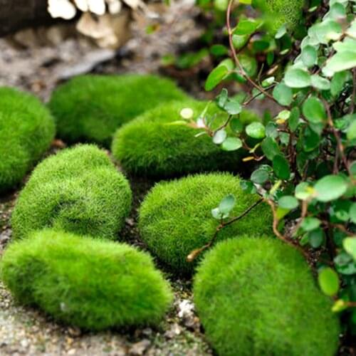 6PCS Artificial Green Plant Artificial Moss Ball Fake Stone for Shop Window Hotel Home Office Plant Wall Decoration DIY Flower