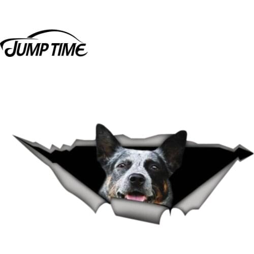 Jump Time 13cm x 4.8cm Blue Heeler Sticker Torn Metal Bumper Decal Funny Car Stickers Window Trunk Animal 3D Car Styling