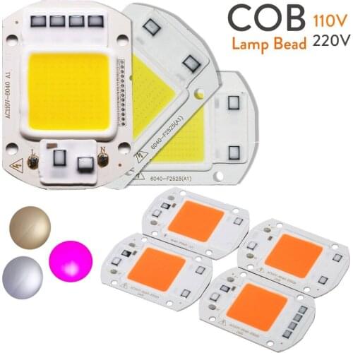 1PCS LED Chip COB 20W 30W 50W Smart IC No Need Driver LED Bulb Lamp Warm / Cool White Full Spectrum For DIY Floodlight Spotlight