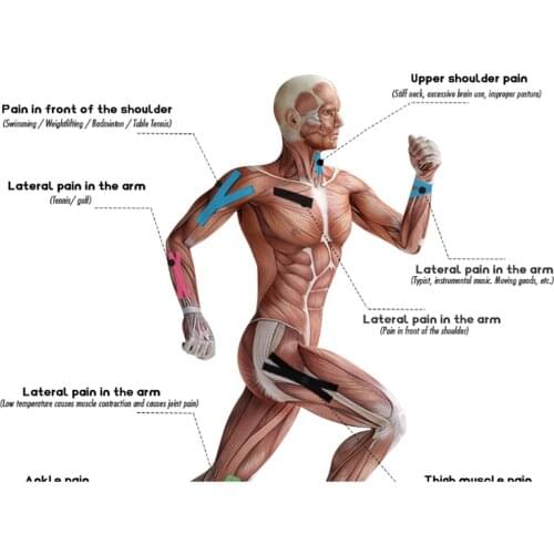 Cotton Sports Fitness Elastic Adhesive Bandage Tape