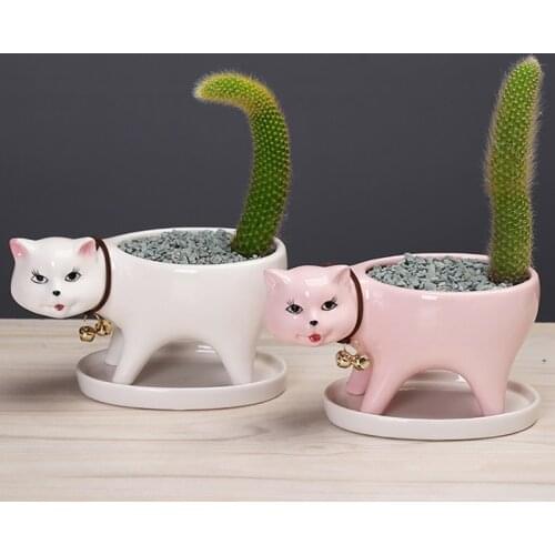 Cute Cartoon Animal Succulent Planters Ceramic Flower Pot For Home Tabletop Decoration Various Styles Available Plant Pots