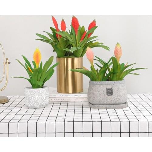 30cm Artificial Succulents Plant Home Table Deocrs Pink Red Artificial Faux Plastic Plants Grass Garden Decoration Fake Plant