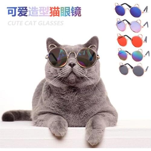 Cat is lovely modelling sunglasses sunglasses whimsy pet accessories MaoYanJing personality