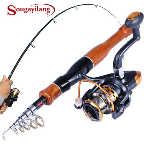 Sougayilang Fishing Rod and Reel Combo 1.6m Carbon Fiber Spinning Fishing Rod and 13+1 BB Spinning Carp Fishing Reel Fishing Kit