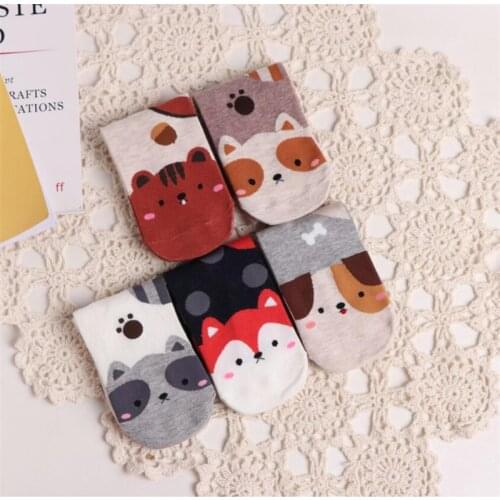 2020 socks spring and autumn ladies cartoon animal jacquard cotton tube socks cute dog cat socks