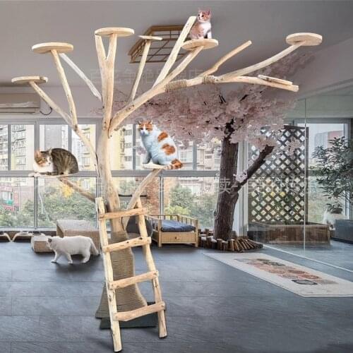 Luxury Large cat tree & cat climbing frame cat jumping platform cat litter cat tree solid wood wear-resistant play space