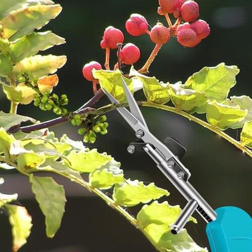 Garden Plant Building Tools Portable Shears Special Scissors for Picking Fruits Branches Durable Flower Cultivating Pruner Tool