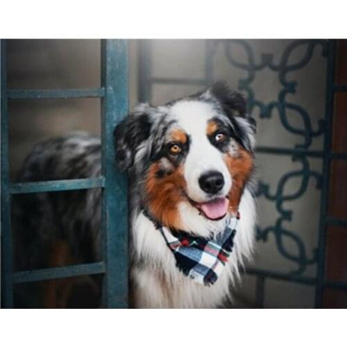 Diamond painting Animal australian shepherd full square 5D diamond embroidery picture cross stitch home wall decoration