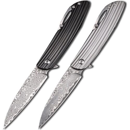 Damascus Vg10 Blade Steel Handle Outdoor Camping Hunting Pocket Fruit Kitchen EDC Tool Knife