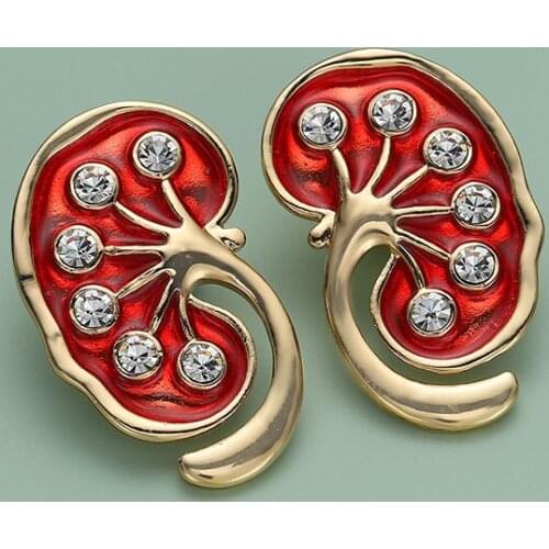 20 Pairs Kidney Pin Rhinestone Badge Red Enamel Metal Anatomy Brooch Medical Jewellery Doctor Nephrologist Medstudent Gift