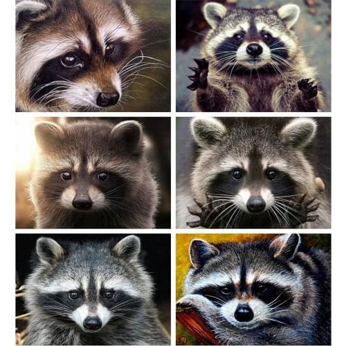 Evershine Diamond Painting Raccoon Cross Stitch Mosaic Diamond Embroidery Animals Rhinestone Pictures Home Decoration