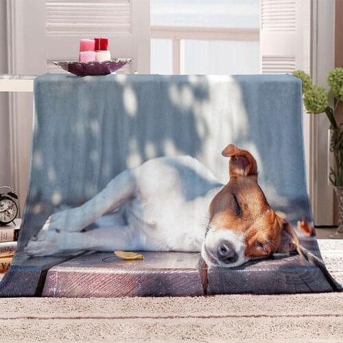 Children Adult Soft Cute Sleeping Dog Printed Flannel Blanket Comfortable Breathable Material Suitable for Sofa Bedroom Bed