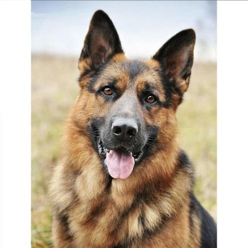 KAMY YI DIY 5D Diamond Painting Mosaic Dog Animal Home Decoration Embroidery Cross Stitch German Shepherd Diamond Art