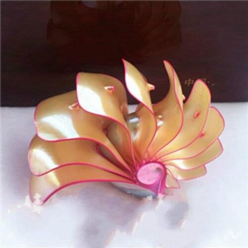 8-9CM MEDITERRANEAN STYLE HOME DECORATION NATURAL CONCH SHELL DOUBLE-SIDED SEASHELL HOME FISH TANK ACCESSORIES AQUARIUM DECOR