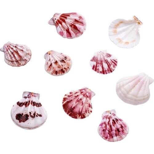 Natural Scallop Shell Beads Sea Shell Beads for Jewelry Making DIY Bracelets Earring Necklaces Goldenrod Size: about 90pcs/500g