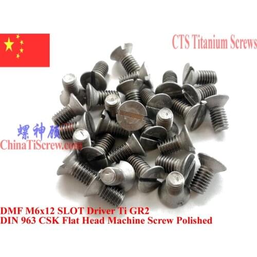 Titanium screws M6X12 DIN 963 Slotted Driver 10 pcs Ti GR2
