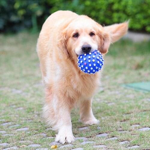 Pet Dog High Quality Spiky Ball Dog Toy