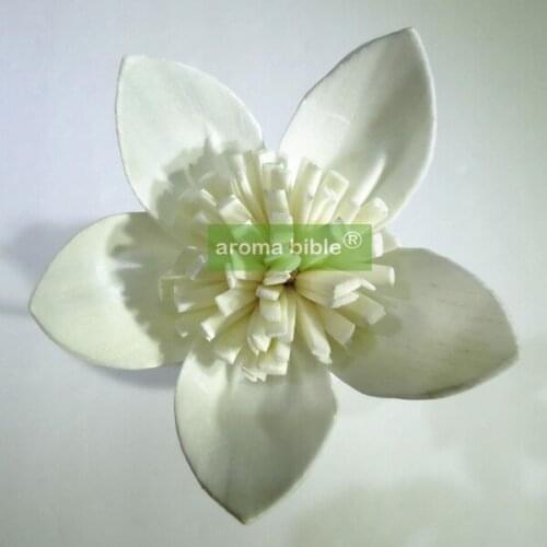 1000 pcs /lot Handmade sola wood flowers for fragrance diffuser and home decor with 12cm Rope or rattan reed sticks Top quality