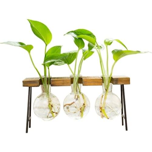 2019 New Hydroponic Plant Vases Vintage Flower Pot Transparent Vase Glass Tabletop Plants Home Decor Party Gifts