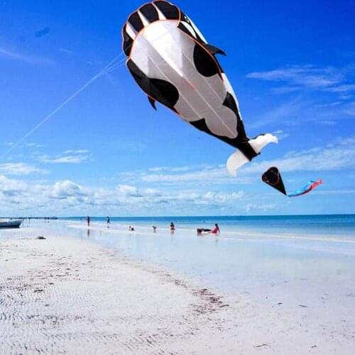 Professional Power 3d Cartoon Whale Software Kite / String Kites Good Single with Animal Line Flying T0P2