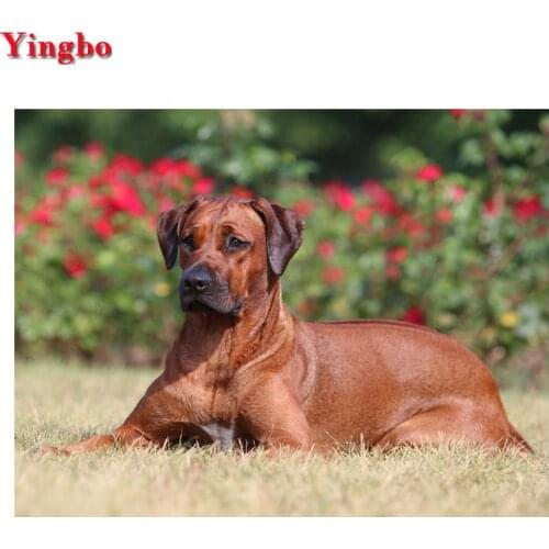3d diamond embroidery rhodesian ridgeback 5d diamond painting pet dog full diamond mosaic picture of rhinestones cross-stitch