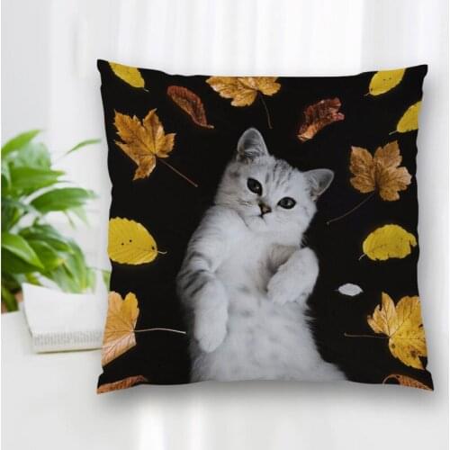 Custom Scottish Fold Cat Pillowcase With Zipper Bedroom Home Office Decorative Pillow Sofa Pillowcase Cushions Pillow Cover