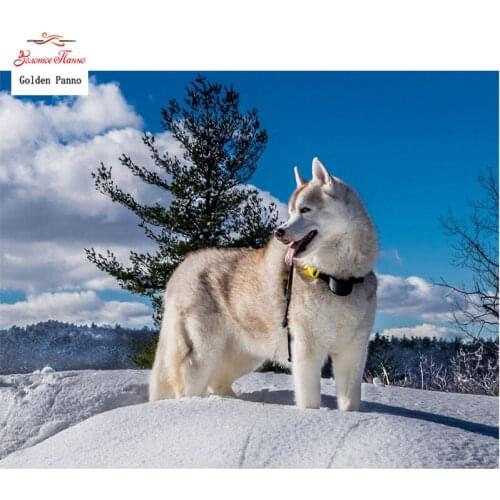 Diamond Painting Full Square 5D Diy Daimond Embroidery Diamant Mosaic Sale Displasy Broderie Diamant Cute Dog on Snow 03