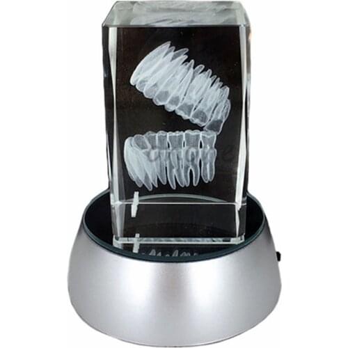 1pcs Dental Artware Teeth Model Dentist Crystal Model Creative Gifts Handicraft Article