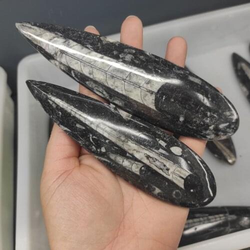 1pcs Natural fossil polished rectangular stone crystal fossil energy crystal home decoration Halloween gift