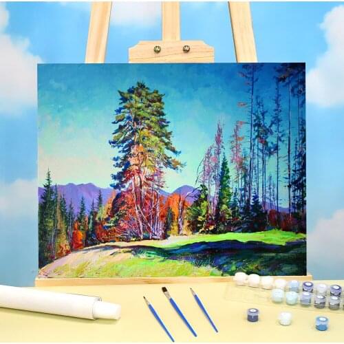 Landscape Coloring By Numbers Painting Set Oil Paints 40*50 Canvas Painting Decorative Paintings For Wholesale