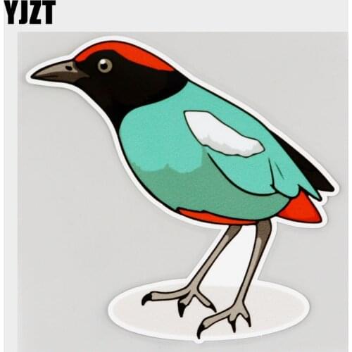 YJZT 12.6CM×13.3CM Hooded Pitta Cartoon Teaching Car Sticker Decal PVC 11C-0295